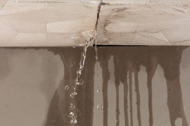 Professional Water Damage Inspection technician working in Granbury, TX